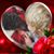 Terrie Newton Fulk's profile image