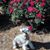 Vivian Minton Smith's profile image