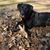 Ashley Chivers Branham's profile image