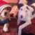 Caridad Bacelis's profile image