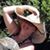 Connie Whittington's profile image