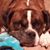 Karen Torres's profile image