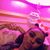 Catherine Alicia Candelaria's profile image