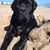Diane Hotz Klotz's profile image