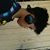 Jake Gonzales's profile image