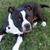 Diana Rodriguez's profile image