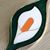 Liz Recko-Morrison's profile image