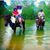 Leticia Rodriguez's profile image