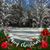 Cynthia Kroll's profile image