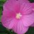 Kim Farrand's profile image