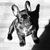 Daniel Harper's profile image