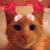 Melinda Kunzer's profile image