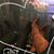 Aracely D'Guillen's profile image