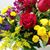 Tracy Langdon Burke's profile image