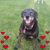 Tracey Lehman's profile image
