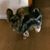 Jette Rogers's profile image