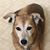 Betsy Gabler's profile image