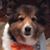 Nancy Cross's profile image