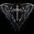 Josh Jandreau's profile image