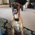 Stephanie Beck Bass's profile image