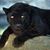 Michele Kakley Nehmer's profile image