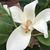 Sally Horntvedt's profile image