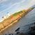 Portia Shaheen Gonzalez's profile image