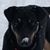 Dina Hill-Wallrath's profile image