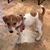 Marilyn Krekeler's profile image