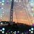 Donica Mcintosh's profile image