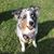 Melanie Beiser's profile image