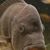 Jim Beebe's profile image