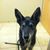 Diana Martinez's profile image