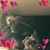 Teresa Becker's profile image