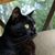 Lori Johnson's profile image