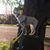 Chris B.'s profile image