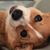 Kay Baham Wills's profile image