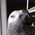 Denise Aston's profile image