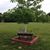 Sheri Phillips's profile image