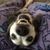 Deborah Butler's profile image