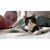 Kylee Brauner's profile image