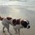 Lisa Schoepke's profile image