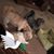 Sharon Cooper's profile image