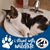 Dwana Waters Reeves's profile image