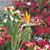 Marilyn Valadon's profile image