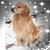 Marianne Snyder's profile image