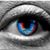 Matt Jaworski's profile image