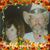 ChristinenBob Armstrong's profile image