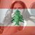 Ana Loulou's profile image