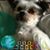 Pam Ahola's profile image